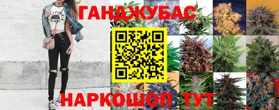 эйфоретик Тара