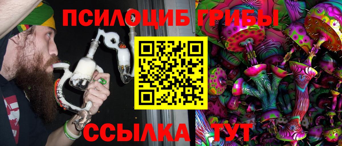 Галлюциногенные грибы Psilocybe  цены наркотик  Асбест  Вход с VPN 
